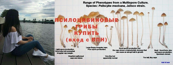 кокаин премиум Навашино
