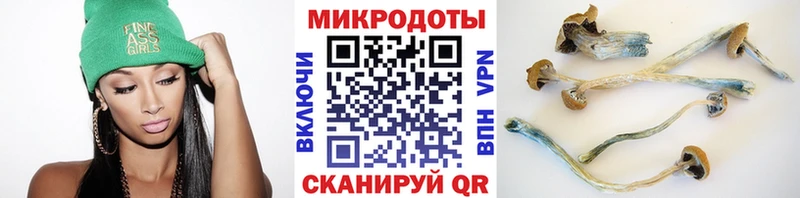 Купить закладки  Злынка  Псилоцибиновые грибы ЛСД 
