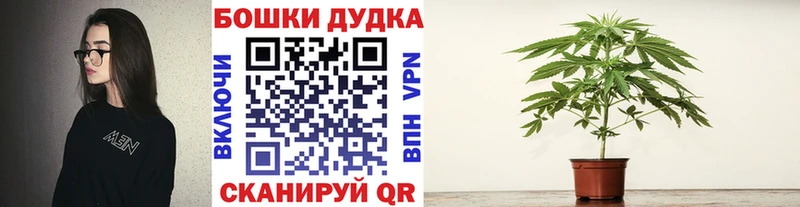 Купить где  Злынка  Бошки Шишки MAZAR 
